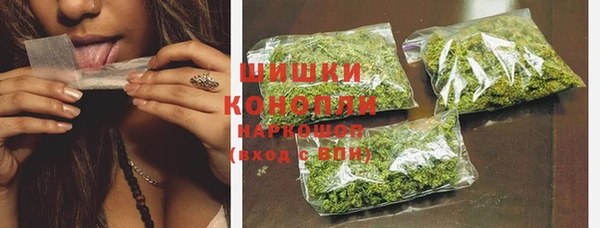мет Бородино