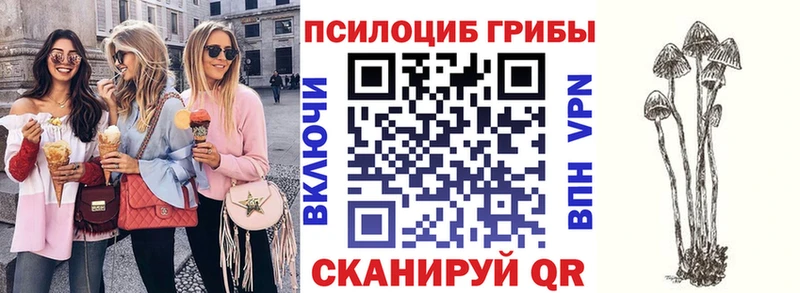 Псилоцибиновые грибы Magic Shrooms  MEGA tor  Демидов 